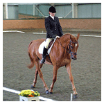 dressage