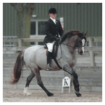 dressage_test